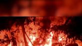 Gujarat game zone blaze: Rajkot chief fire officer, deputy CFO arrested