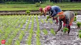 Farmers paid premium of Rs 32,440 cr under PMFBY; over Rs 1.63 lakh cr worth claims cleared