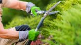 5 jobs to do in your yard in March to get it ready for spring