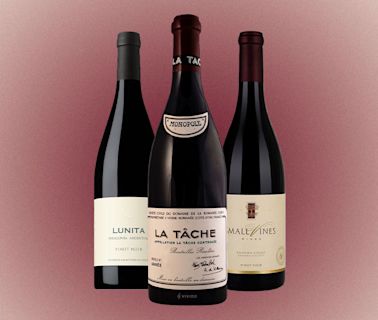 The 9 Best Pinot Noirs to Buy Right Now