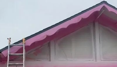 My 'greige' neighbours are threatening a lawsuit over my 'horrific' pink house