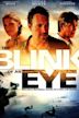 In the Blink of an Eye (2009 film)