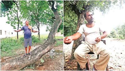 Dabbu, Rudra & a mango: How a children’s scuffle turned into murder case that dragged on for 40 yrs