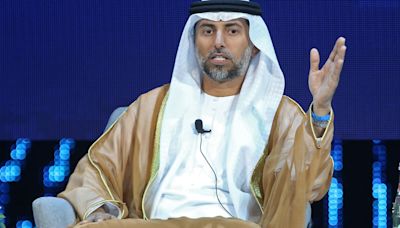 JPMorgan’s calls for a reality check on energy transition are sensible, UAE energy minister says