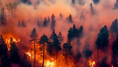 Los incendios forestales extremos son cada vez más intensos y se han duplicado en los últimos 20 años