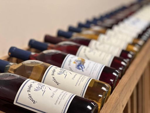 Pennsylvania’s wine industry is exploding, and the world will soon take notice | Opinion
