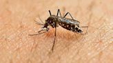 ICMR sounds alarm bells as Zika virus cases rise with the onset of monsoon