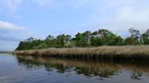 North Carolina Coastal Land Trust initiates conservation partnership along the Newport River