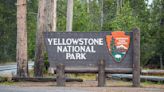 One dead in July 4th shooting at Yellowstone National Park