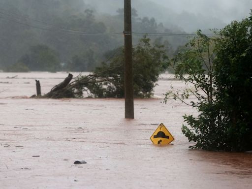 Lluvias torrenciales en gran estado brasileño interrumpen cosecha de soja y maíz en etapas finales