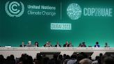 COP28因化石燃料陷分歧 OPEC急拉攏人心