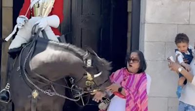 Watch: King’s Guard horse bites tourist