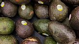 U.S. halts avocado inspections in Mexican state after USDA workers attacked