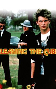 Gleaming the Cube