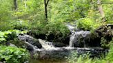 Need a water cure for daily stress? Try this brookside hike in West Greenwich