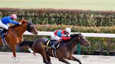 Ramjet Likely Favorite in Tokyo Derby