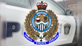 $23,500 in illegal drugs seized by Sarnia police