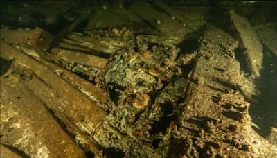 100 bottles of 19th century champagne and luxury goods discovered in Baltic wreck