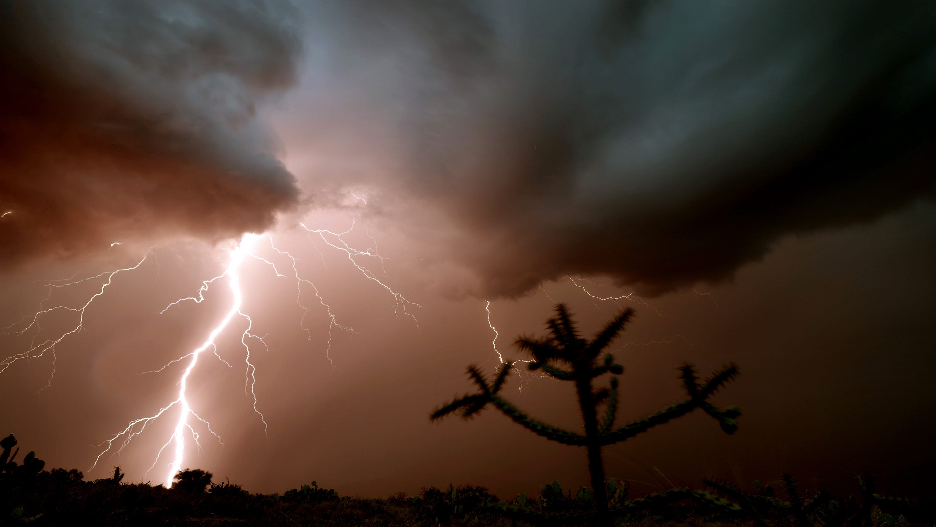 Here's the monsoon forecast for 2024 in Arizona