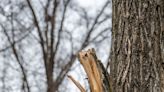 Answer Woman: Did an NCDOT encampment 'cleanup' off I-40 in Asheville leave a mess behind?