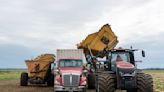 Pumpkin farms adapt to improve soil, lower emissions