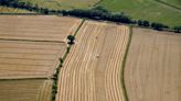 Drought could cause food price rises and shortages into next year, struggling farmers warn