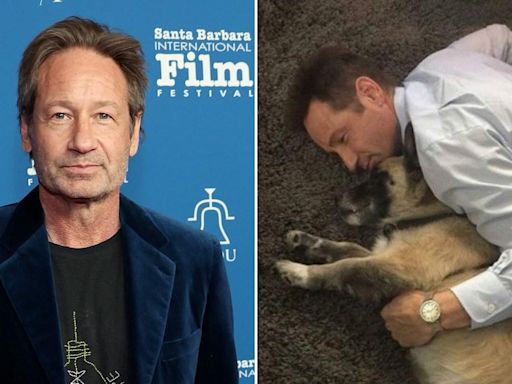 David Duchovny's heartbreaking poem in memory of his dog has fans 'weeping'