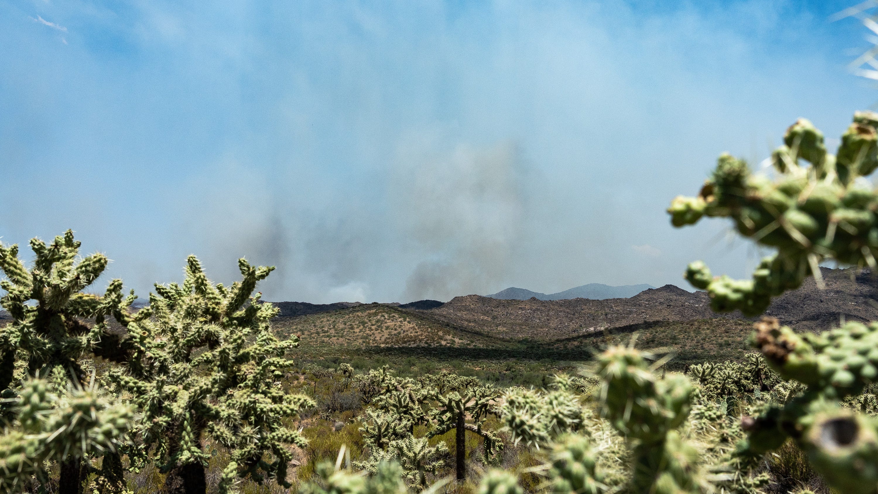 Freeman Fire, north of Tucson, has grown to more than 31,000 acres. How residents are helping