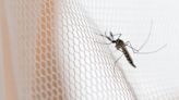 7 ways to prevent mosquito bites at night