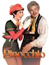 Pinocchio (1976 TV program)