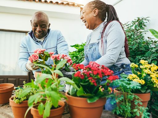 Why gardening is good for the brain