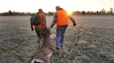 To experience Minnesota’s deer hunting boom, drive ... south?