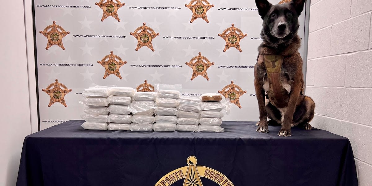 2 arrested after K-9 finds ‘trophy size load’ of cocaine during traffic stop on Toll Road