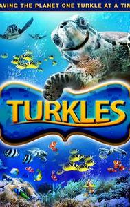 Turkles