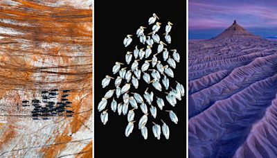 Osos polares y dragones de lava: estos son los asombrosos finalistas de los Drone Photo Awards 2024