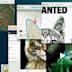 Don't F**K with Cats: Hunting An Internet Killer