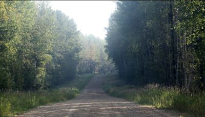 Beyond Local: Youth took woman to remote area and left her for dead in forest: RCMP