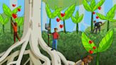 Mangle rojo, la planta milenaria amenazada que estudiantes de Chiapas conservan en un invernadero