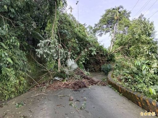 雲林古坑山區多處產業道路中斷 鄉長林慧如：全力在3天內搶通