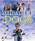 Miracle Dogs movie cover