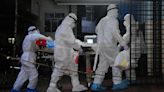 Una muerte por el virus Nipah pone en alerta a los funcionarios sanitarios del sur de la India