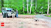 Tiger Rescue Operation in Mysuru | Mysuru News - Times of India