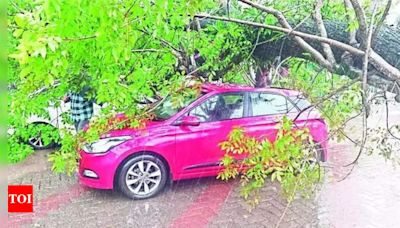 Heavy rain pounds in Kochi; couple hurt, houses damaged | Kochi News - Times of India