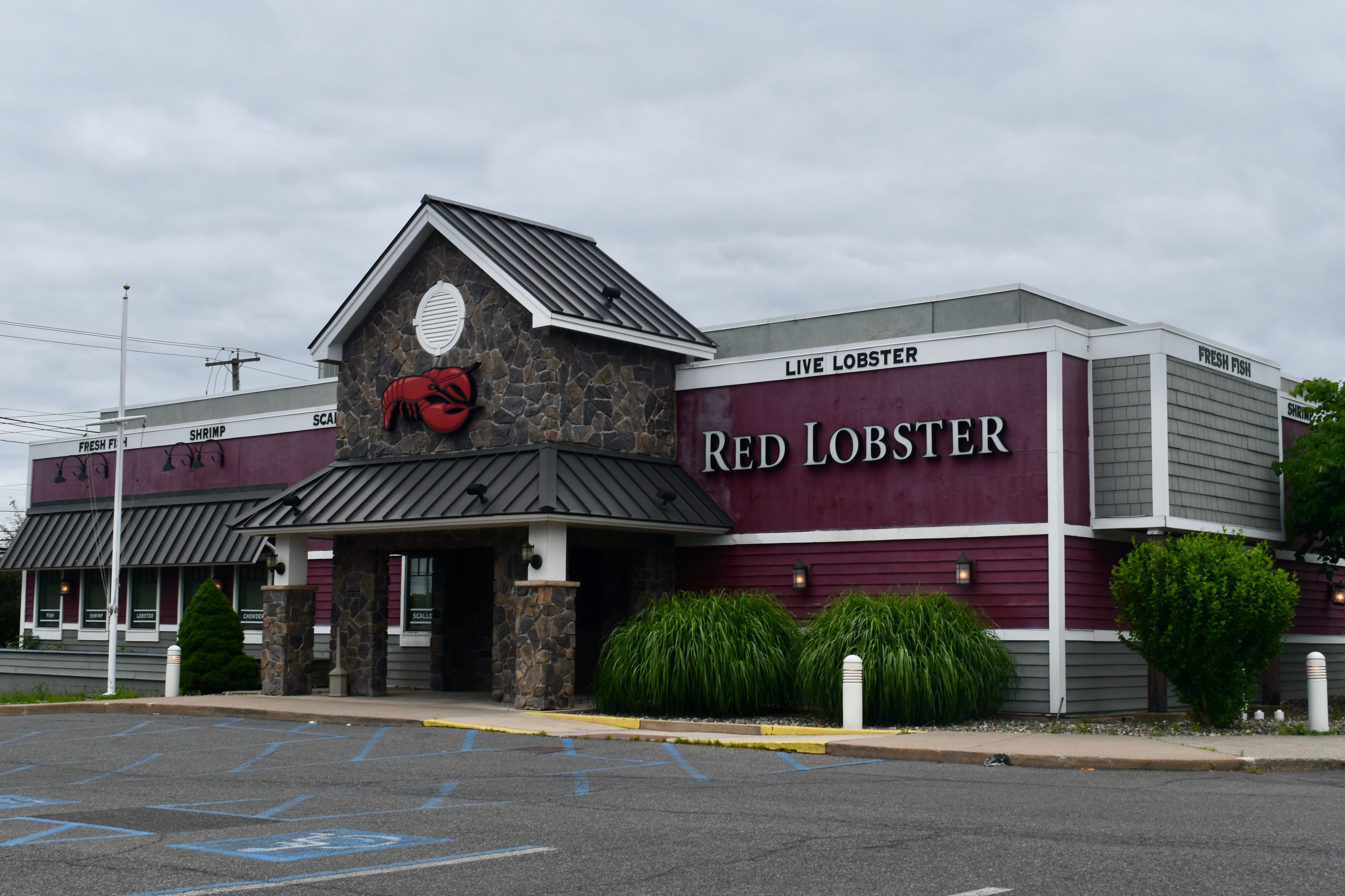 Red Lobster may soon have a new owner. Which restaurants are still open in Florida