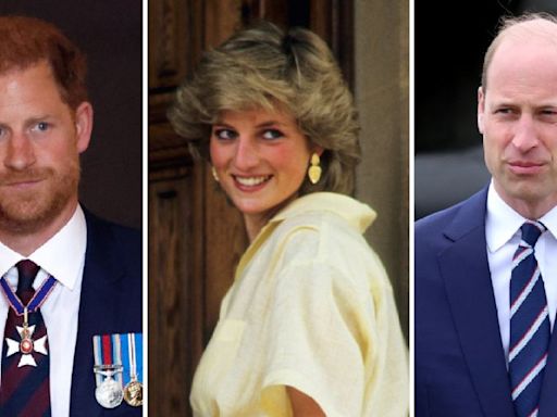 Inside Prince Harry, Prince William's Drama Over Princess Diana