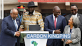 Can carbon offsets fix Africa’s climate finance crisis?