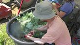 Poughkeepsie sustainable farmers race against heat to protect themselves, crops