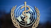 Países membros da OMS aprovam medidas para fortalecer ações durante pandemias | Mundo e Ciência | O Dia