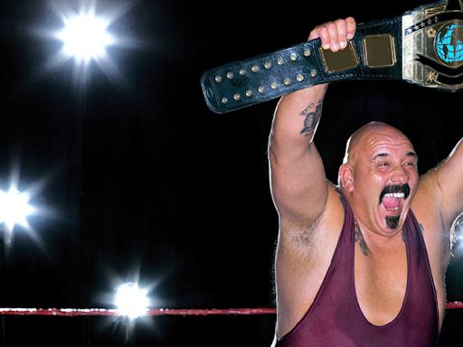 20 Longest WWE Title Reigns in Pro Wrestling History