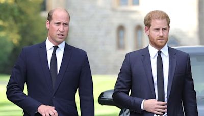 Prince William Plans For Prince Harry After He Takes The Throne REVEALED!